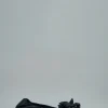 Balenciaga Louis XV 25mm Pump - LABELS