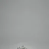 New Balance 9060v1 - LABELS